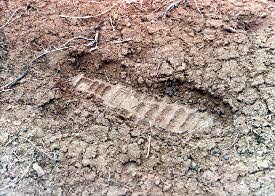 Footprint deep in puffy dry soil.