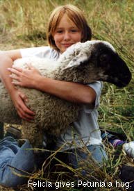 Girl with pet sheep.