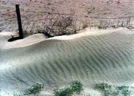 Range land turning to sand dune along fence.