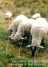 Electric sheep fence, ElectroNet.