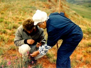 Alma Snell and Thomas Elpel look at plants.