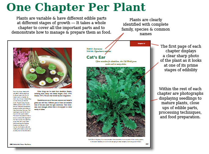 Edible Wild Plants book page sample.