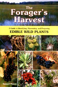 How do you identify edible wild plants?