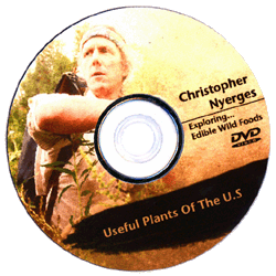 Exploring Edible Wild Foods DVD, with Christopher Nyerges
