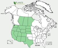 Range Map: Oenothera caespitosa. Evening Primrose.