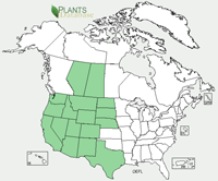 Range Map: Oenothera flava. Yellow Evening Primrose.