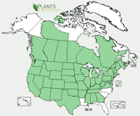 Range Map: Oenothera villosa. Hairy Evening Primrose.